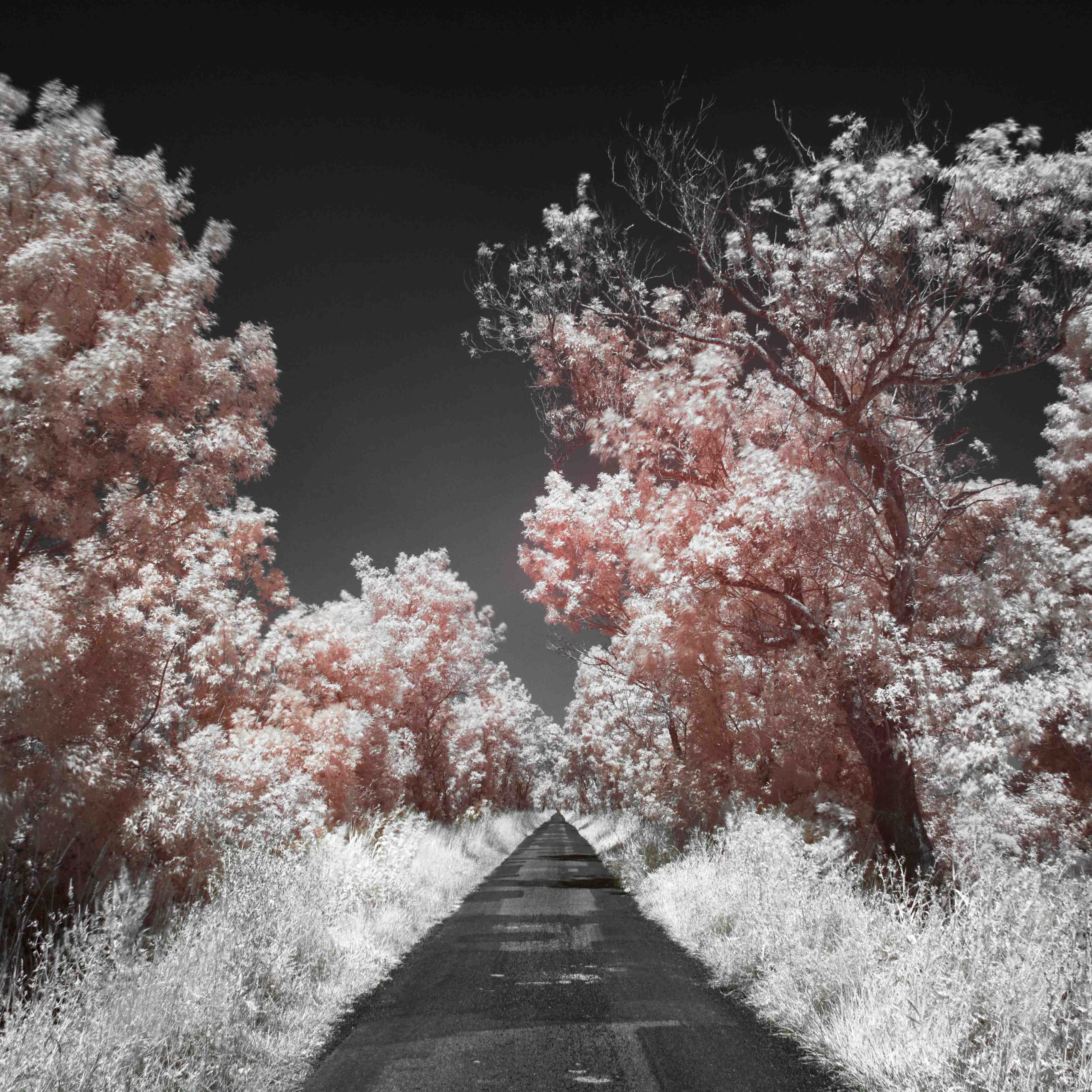 2023-07-06_OM_4231-Modifier