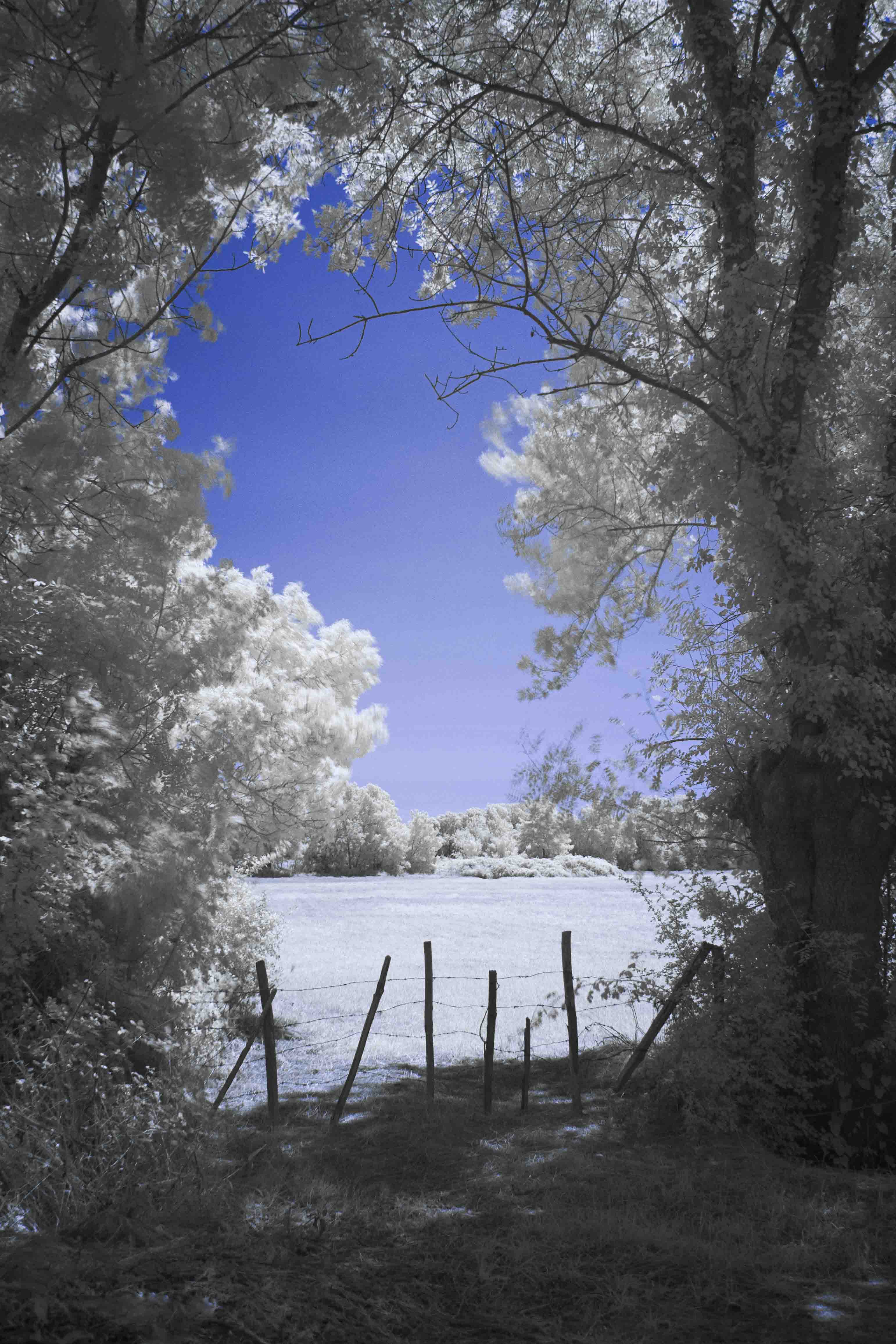 2023-07-06_OM_4260-Modifier